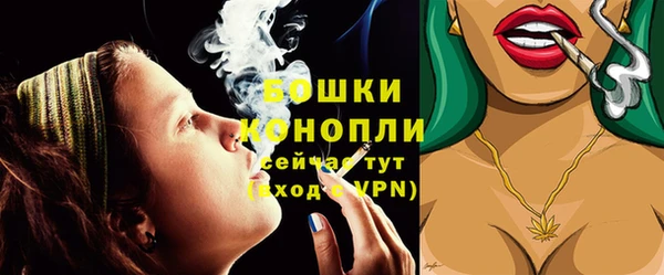 прущие грибы Волоколамск