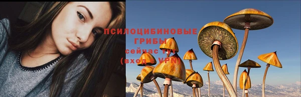 индика Вязьма