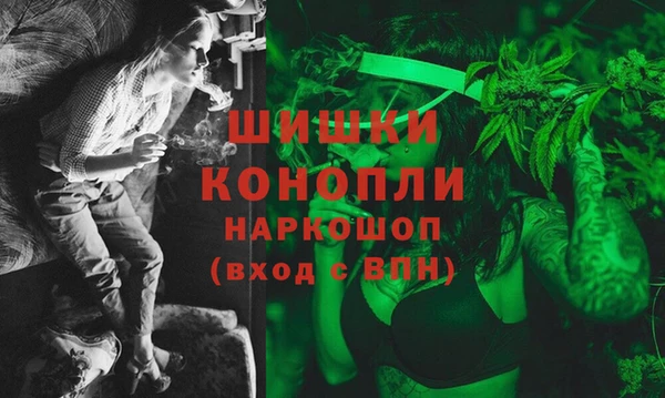 прущие грибы Волоколамск