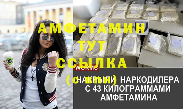 прущие грибы Волоколамск