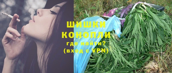прущие грибы Волоколамск