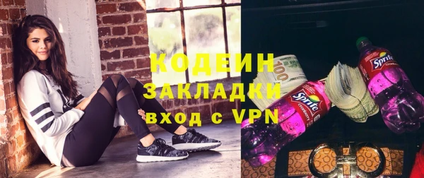 прущие грибы Волоколамск