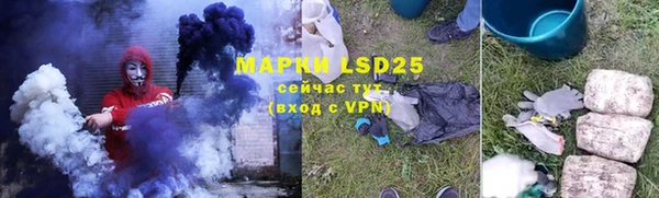 прущие грибы Волоколамск