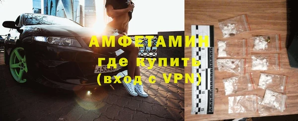 индика Вязьма